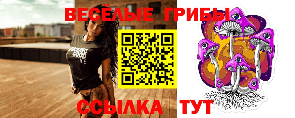Полевской  Галлюциногенные грибы MAGIC MUSHROOMS  Вход с VPN 