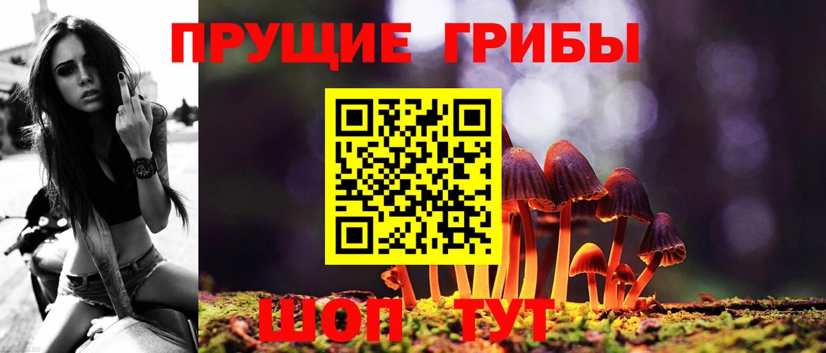 Галлюциногенные грибы Magic Shrooms Полевской
